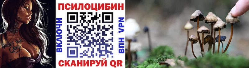 Псилоцибиновые грибы GOLDEN TEACHER  мориарти клад  Краснообск 